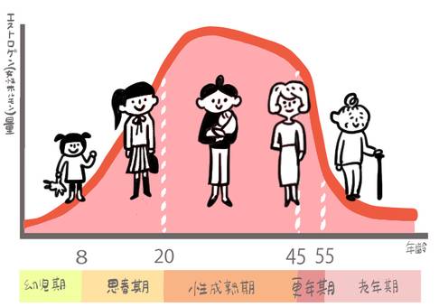 ホルモンバランスの乱れが肌荒れの原因？の画像